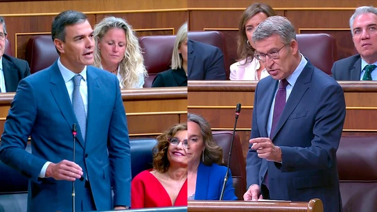 Pedro Sánchez y Alberto Núñez Feijóo durante la sesión de control al Gobierno en el Congreso Pedro Sánchez y Alberto Núñez Feijóo durante la sesión de control al Gobierno en el Congreso