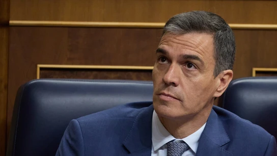 El presidente del Gobierno, Pedro Sánchez, durante la sesión de control al Gobierno El presidente del Gobierno, Pedro Sánchez, durante la sesión de control al Gobierno