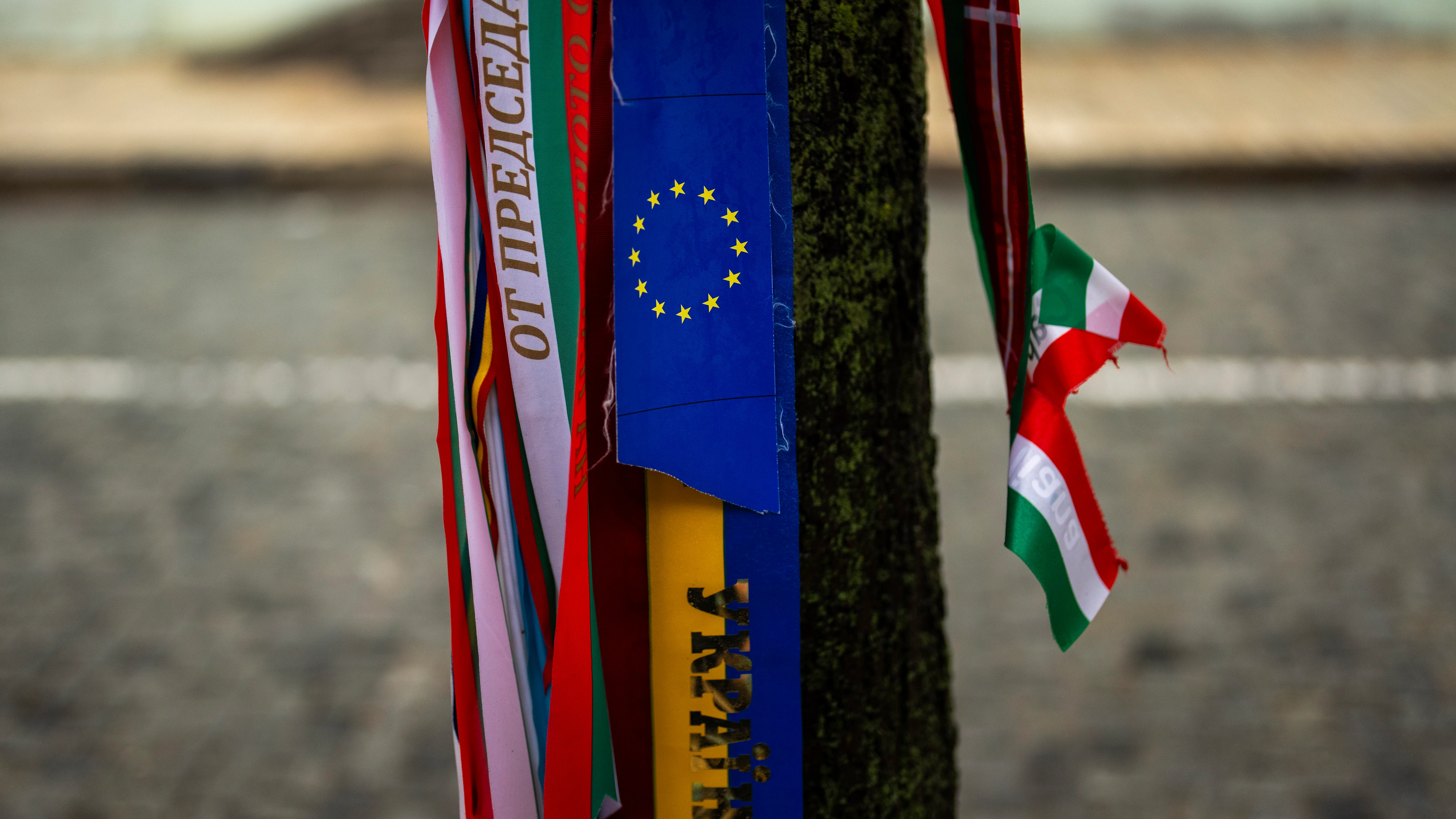 Lazos con los colores de las banderas de Ucrania y la UE en un árbol en Kyiv, en memoria de los soldados ucranianos caídos en el conflicto