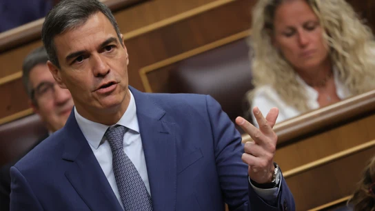 El presidente del Gobierno, Pedro Sánchez, interviene durante la sesión de control al Gobierno, en el Congreso de los Diputados, a 29 de mayo de 2024, en Madrid (España). El presidente del Gobierno, Pedro Sánchez, interviene durante la sesión de control al Gobierno, en el Congreso de los Diputados, a 29 de mayo de 2024, en Madrid (España).