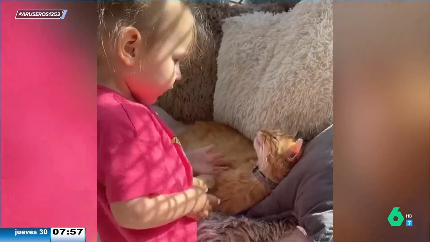 Niña gato Niña gato