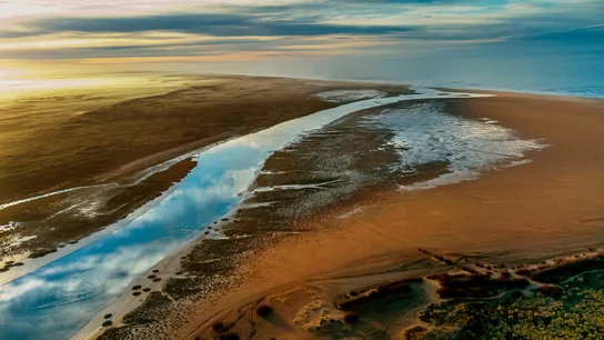 Un río, cerca de desembocar en el mar. Un río, cerca de desembocar en el mar.