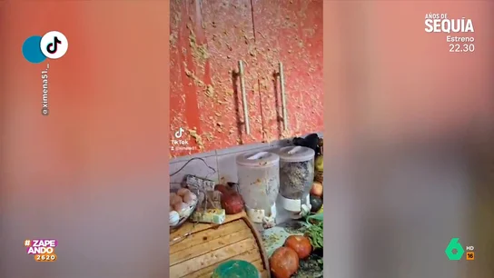 "Sin comida y sin cocina": una mujer advierte del peligro de las ollas a presión tras estallar la suya "Sin comida y sin cocina": una mujer advierte del peligro de las ollas a presión tras estallar la suya