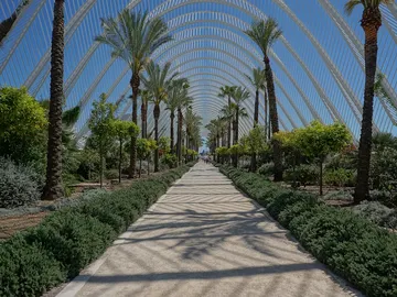 Valencia Valencia