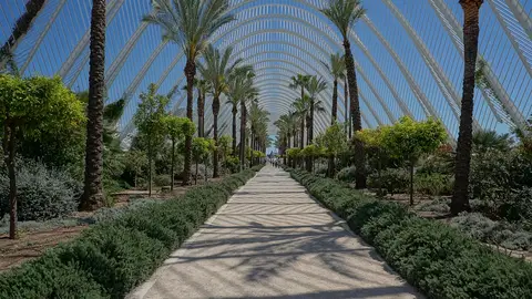 Valencia Valencia