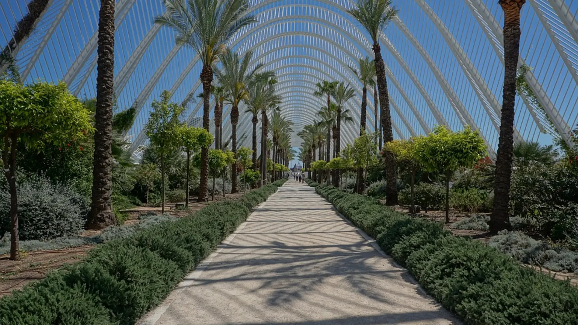 Valencia Valencia