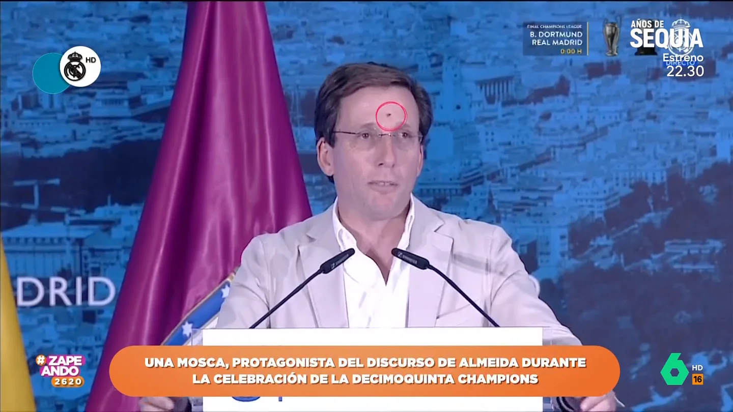 Una mosca protagoniza el discurso de Almeida durante la celebración de la Champions del Real Madrid Una mosca protagoniza el discurso de Almeida durante la celebración de la Champions del Real Madrid