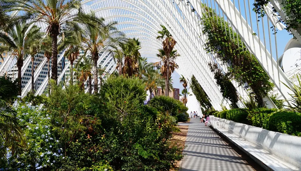 Valencia Valencia