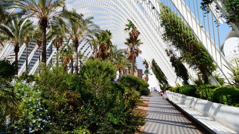 Valencia