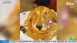 Así reacciona un perro al recibir una tarta con su cara pero que no se parece nada a él: &quot;No quiere ni probarlo&quot;