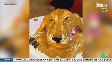 Así reacciona un perro al recibir una tarta con su cara pero que no se parece nada a él: "No quiere ni probarlo"