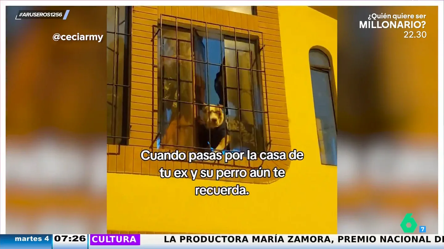 Así es la triste reacción de un perro cuando reconoce a la expareja de su dueña Así es la triste reacción de un perro cuando reconoce a la expareja de su dueña