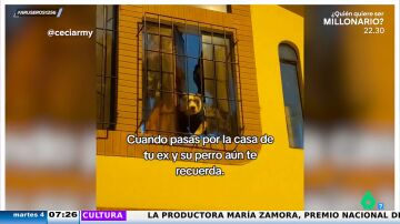 Así es la triste reacción de un perro cuando reconoce a la expareja de su dueña