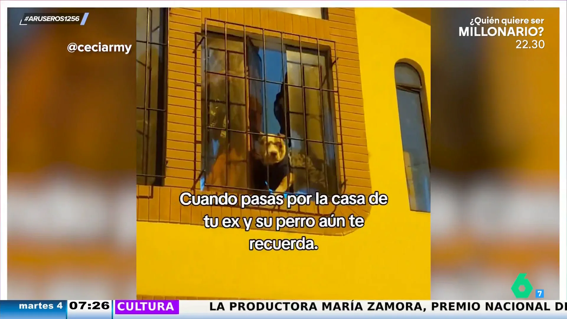 Así es la triste reacción de un perro cuando reconoce a la expareja de su dueña