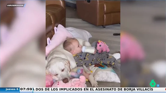 El tierno momento de un bebé acariciando a su perro mientras ven la televisión El tierno momento de un bebé acariciando a su perro mientras ven la televisión