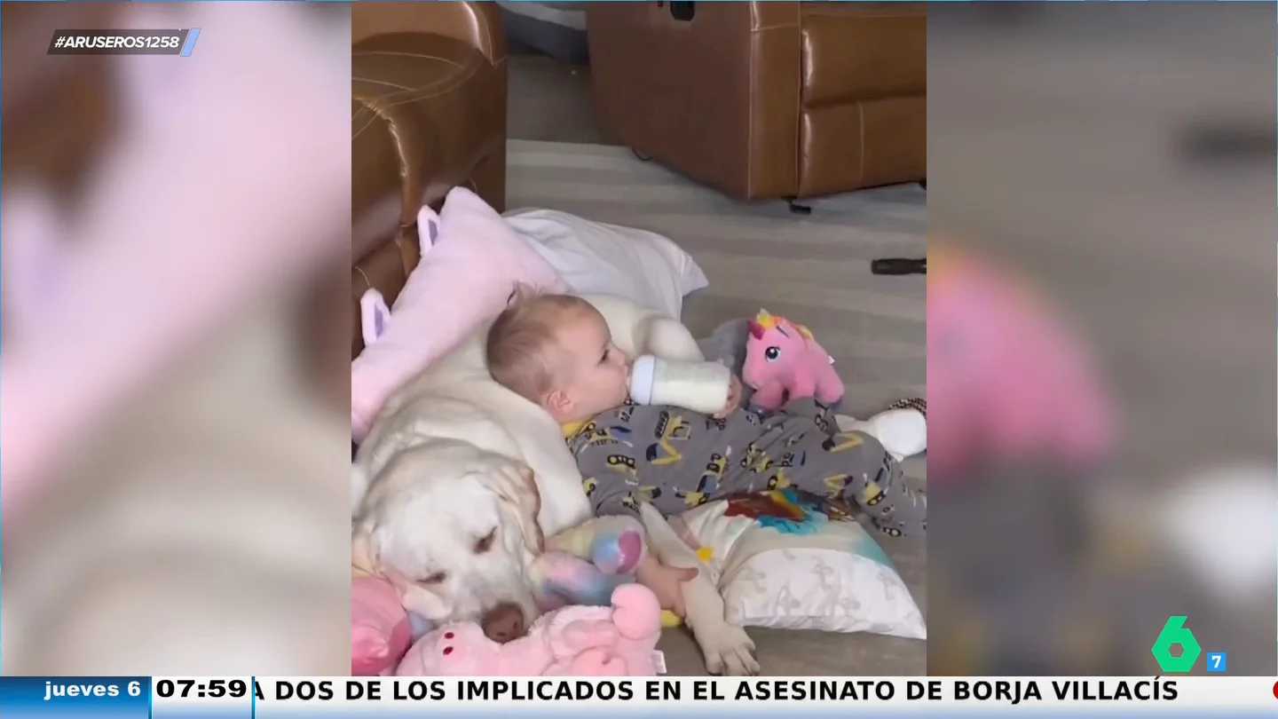 El tierno momento de un bebé acariciando a su perro mientras ven la televisión El tierno momento de un bebé acariciando a su perro mientras ven la televisión