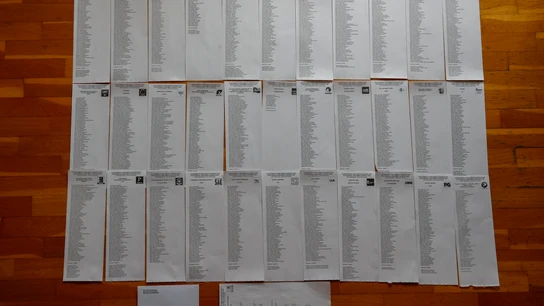 Todas las papeletas de los partidos que se presentan a estas elecciones europeas Todas las papeletas de los partidos que se presentan a estas elecciones europeas