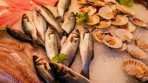 Pescados y mariscos
