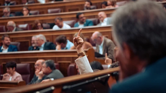 Una diputada levanta un dedo indicando el número de una votación, durante una sesión plenaria, en el Congreso de los Diputados, a 11 de junio de 2024, en Madrid (España). Una diputada levanta un dedo indicando el número de una votación, durante una sesión plenaria, en el Congreso de los Diputados, a 11 de junio de 2024, en Madrid (España).