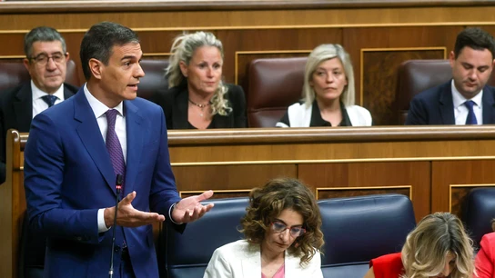 El presidente del Gobierno, Pedro Sánchez, durante su intervención en la sesión de control al Ejecutivo este miércoles en el Congreso. El presidente del Gobierno, Pedro Sánchez, durante su intervención en la sesión de control al Ejecutivo este miércoles en el Congreso.
