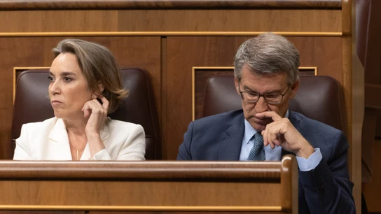 El líder del PP, Alberto Núñez Feijóo, y la secretaria general, Cuca Gamarra, durante la sesión de control en el Congreso. El líder del PP, Alberto Núñez Feijóo, y la secretaria general, Cuca Gamarra, durante la sesión de control en el Congreso.