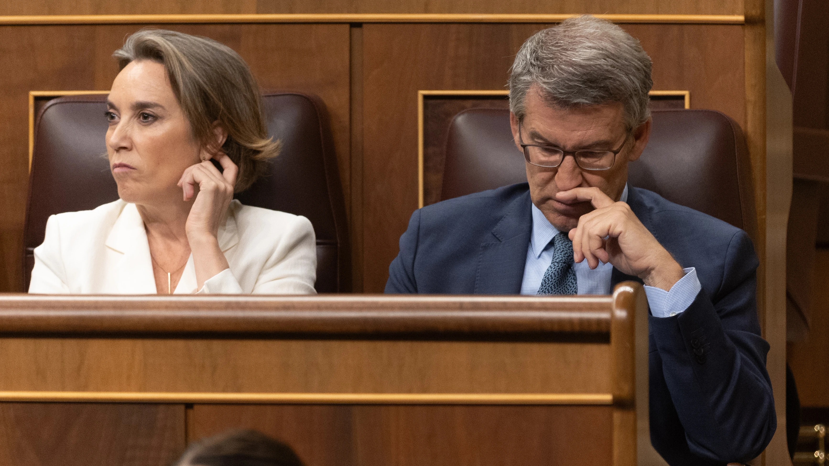 El líder del PP, Alberto Núñez Feijóo, y la secretaria general, Cuca Gamarra, durante la sesión de control en el Congreso.