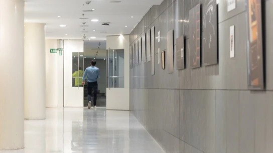 El jefe de prensa de Alvise, Vito Quiles, en el Congreso de los Diputados. El jefe de prensa de Alvise, Vito Quiles, en el Congreso de los Diputados.