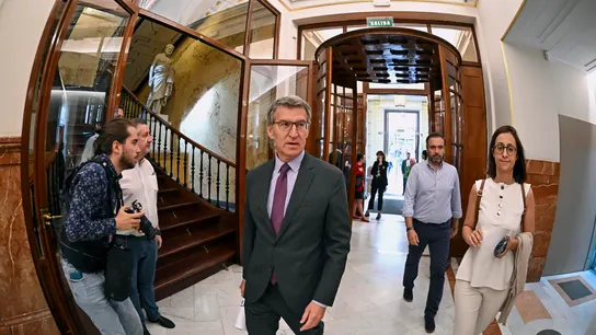 El líder del PP, Alberto Núñez Feijóo El líder del PP, Alberto Núñez Feijóo