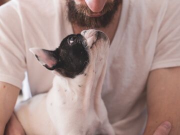 Perro y humano