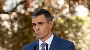 El presidente de Gobierno, Pedro Sánchez