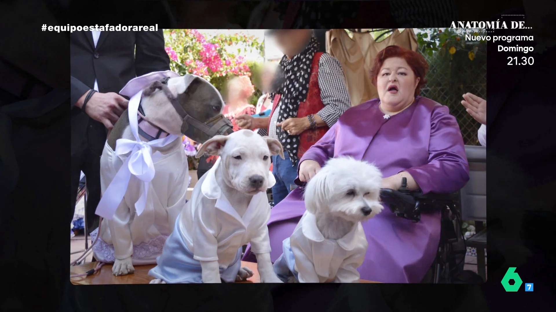 Perros de la falsa hija del rey
