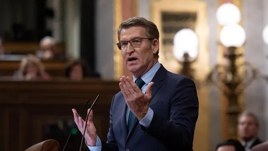 Imagen de archivo del líder del PP, Alberto Núñez Feijóo, en el Congreso de los Diputados. Imagen de archivo del líder del PP, Alberto Núñez Feijóo, en el Congreso de los Diputados.