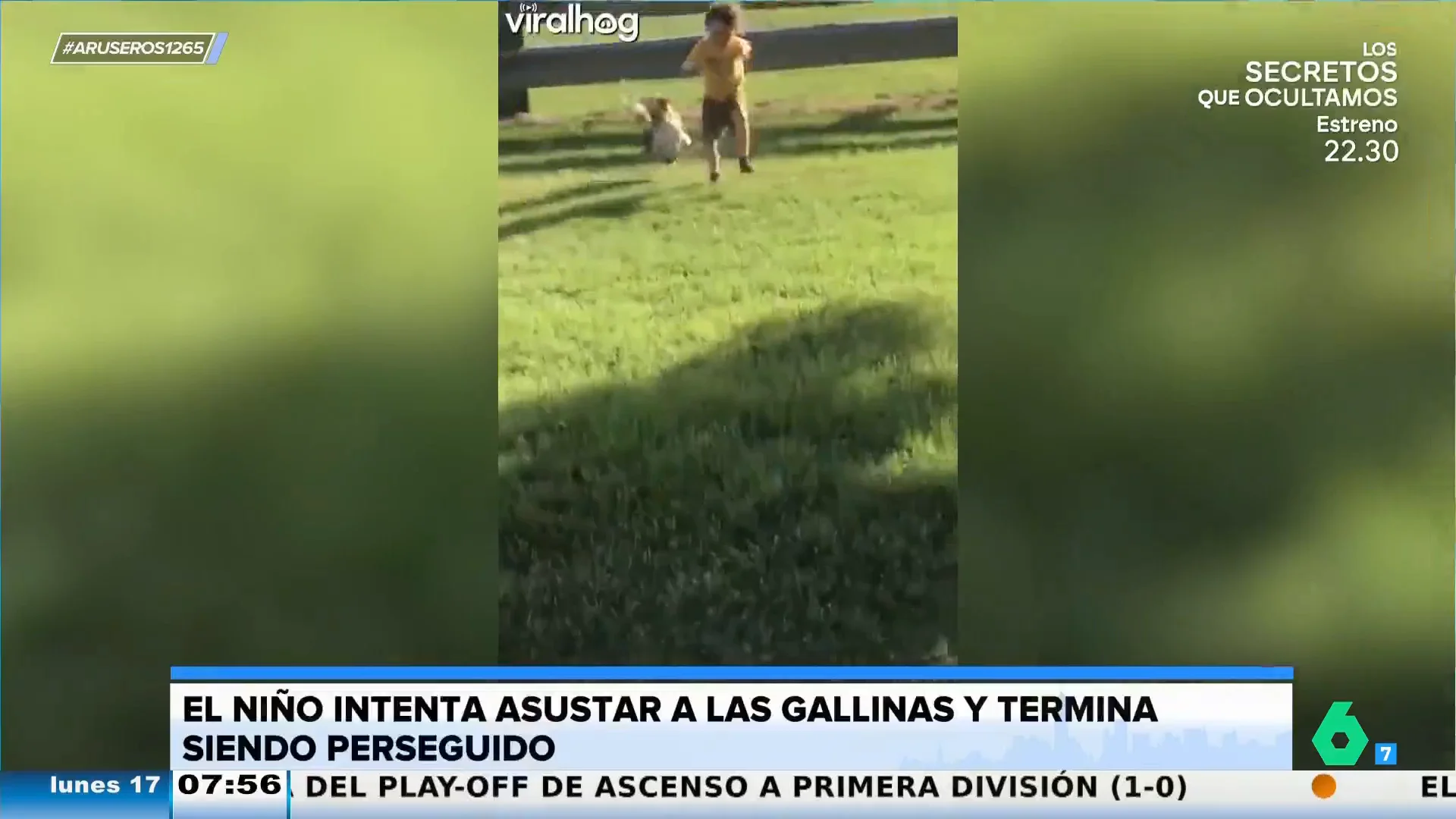 VIRAL NIÑO GALLINAS