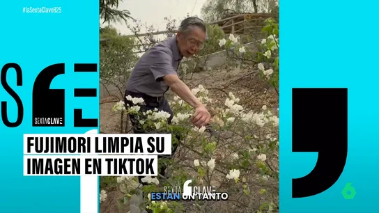 Alberto Fujimori se reinventa en TikTok como experto en jardinería tras salir de prisión Alberto Fujimori se reinventa en TikTok como experto en jardinería tras salir de prisión