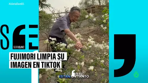 Alberto Fujimori se reinventa en TikTok como experto en jardinería tras salir de prisión
