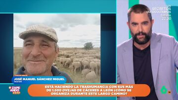 José Manuel Sánchez, pastor, desvela cómo actúa ante los lobos: "Hay mucho peligro... no te puedes ir de fiesta"
