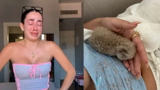 LolaLolita, rota tras la muerte de su gatito de seis días: "Solo espero que descanses muy feliz y en paz. Te amo" LolaLolita, rota tras la muerte de su gatito de seis días: "Solo espero que descanses muy feliz y en paz. Te amo"