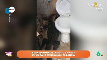 Increíble: esto es lo que le sucede a un turista cuando va al baño en Tailandia