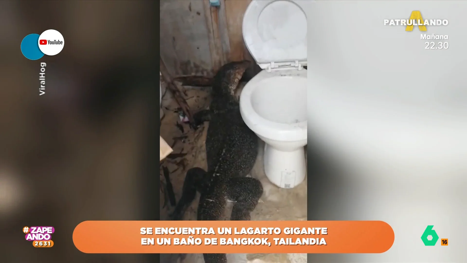 Increíble: esto es lo que le sucede a un turista cuando va al baño en Tailandia