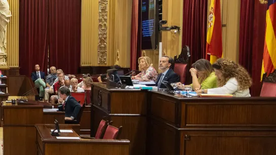 El presidente del Parlament balear, Gabriel Le Senne, durante el pleno del parlamento balear El presidente del Parlament balear, Gabriel Le Senne, durante el pleno del parlamento balear
