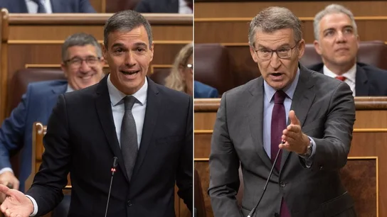 Pedro Sánchez y Feijóo durante la sesión de control al Gobierno en el Congreso Pedro Sánchez y Feijóo durante la sesión de control al Gobierno en el Congreso