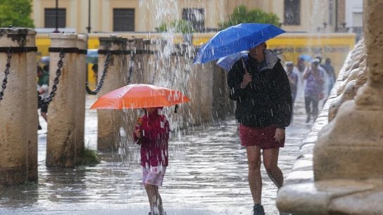 Transeúntes protegidos con paraguas durante las fuertes lluvias. A 19 de junio de 2024, en Sevilla (Andalucía, España). Transeúntes protegidos con paraguas durante las fuertes lluvias. A 19 de junio de 2024, en Sevilla (Andalucía, España).