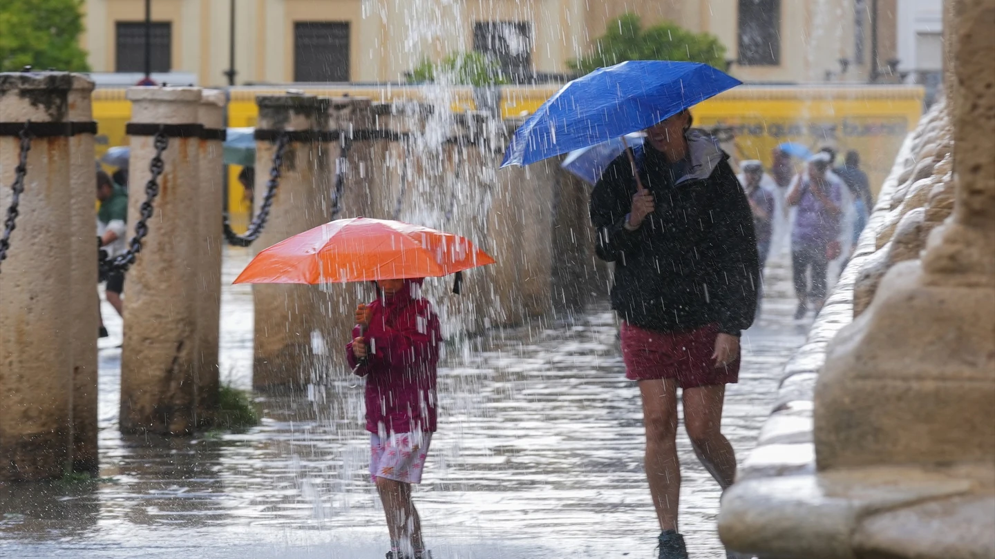 Transeúntes protegidos con paraguas durante las fuertes lluvias. A 19 de junio de 2024, en Sevilla (Andalucía, España). Transeúntes protegidos con paraguas durante las fuertes lluvias. A 19 de junio de 2024, en Sevilla (Andalucía, España).
