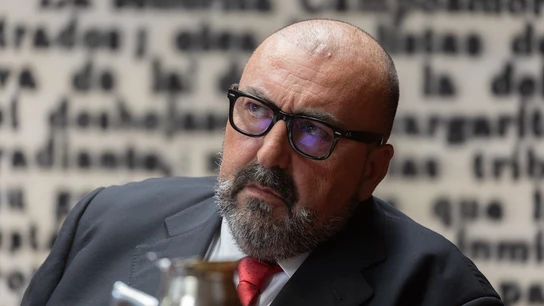 El exasesor del exministro José Luis Ábalos, Koldo García, en su comparecencia en la Comisión del Senado. El exasesor del exministro José Luis Ábalos, Koldo García, en su comparecencia en la Comisión del Senado.