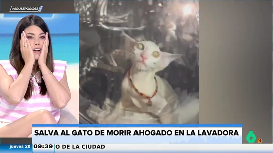 El susto de una dueña que salva a su gato de ser ahogado al esconderse dentro de una lavadora en marcha El susto de una dueña que salva a su gato de ser ahogado al esconderse dentro de una lavadora en marcha