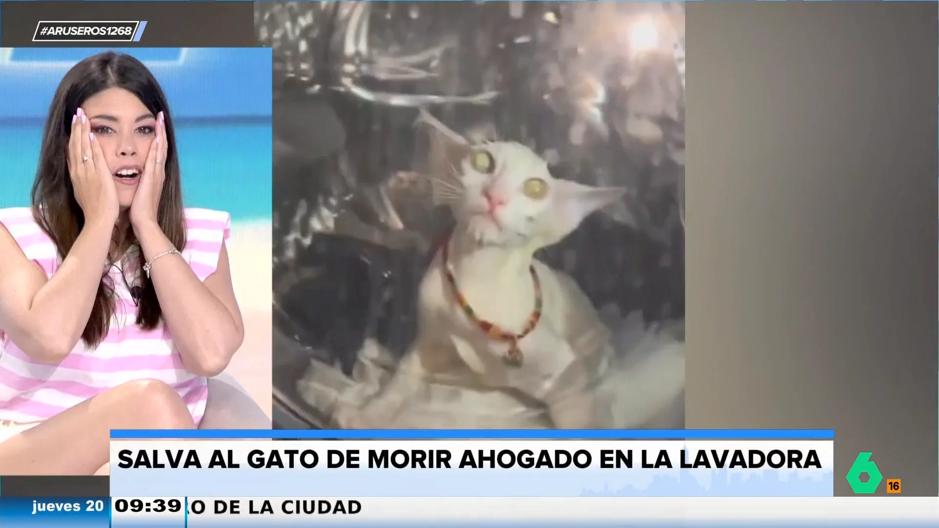 El susto de una dueña que salva a su gato de ser ahogado al esconderse dentro de una lavadora en marcha