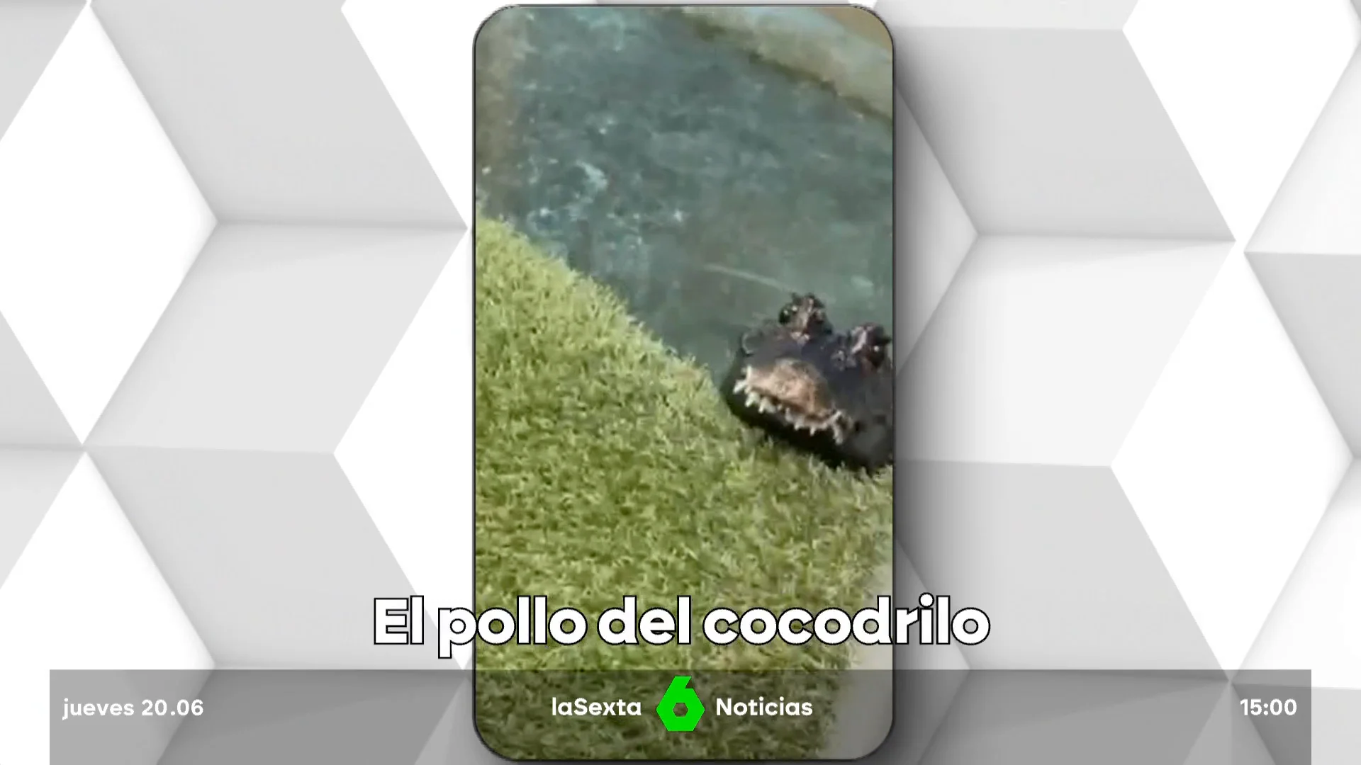 cocodrilo Charlie