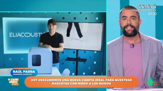 un ingeniero acústico inventa una casetas para aislar a las mascotas del ruido un ingeniero acústico inventa una casetas para aislar a las mascotas del ruido