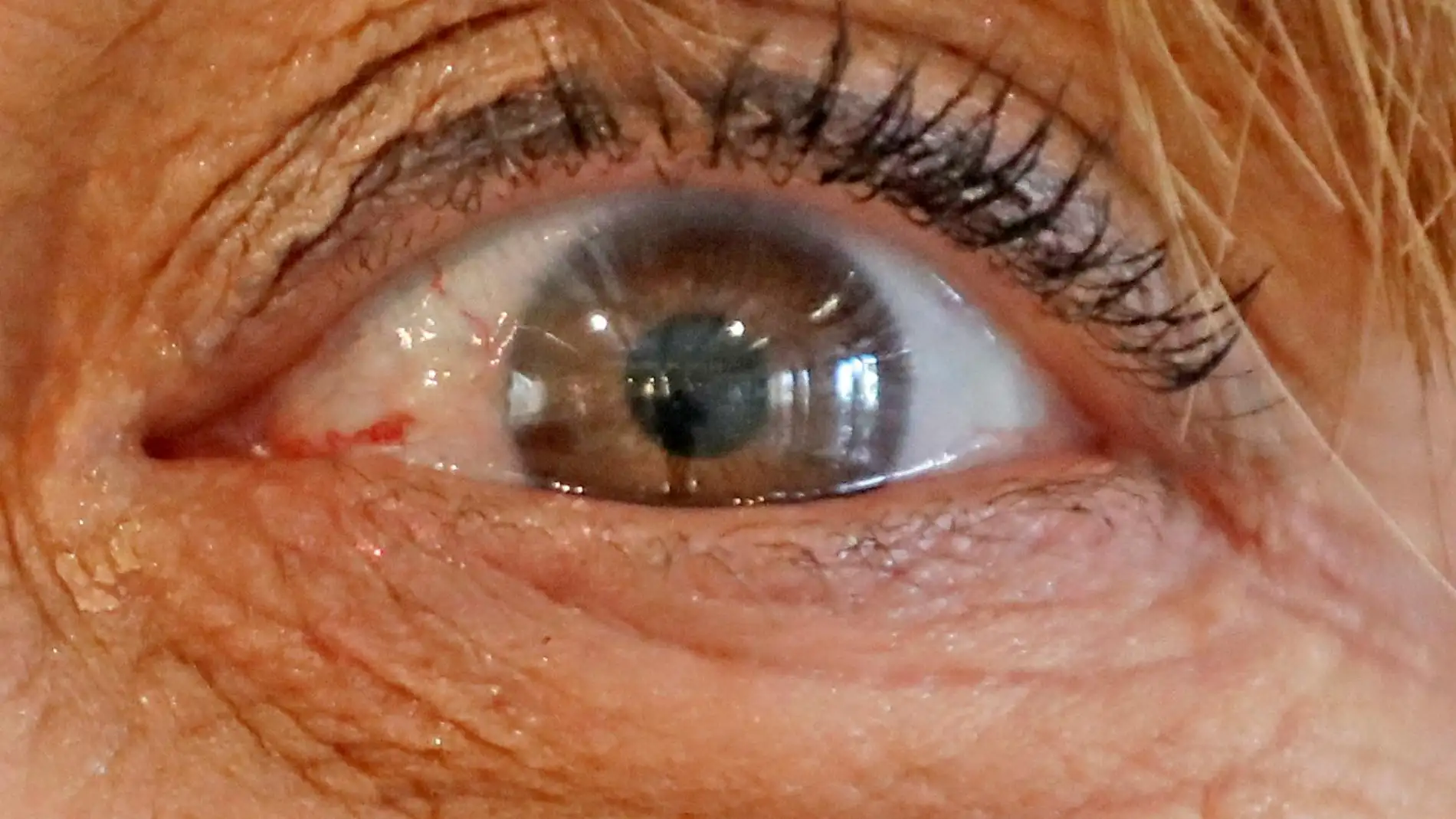 Vista del ojo de una mujer Vista del ojo de una mujer
