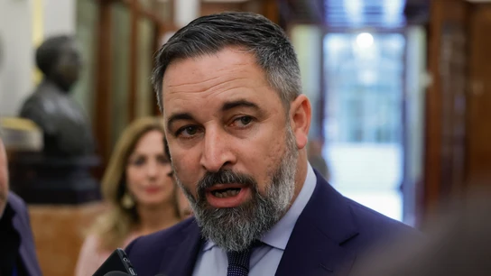 El líder de Vox, Santiago Abascal, en el Congreso de los Diputados El líder de Vox, Santiago Abascal, en el Congreso de los Diputados